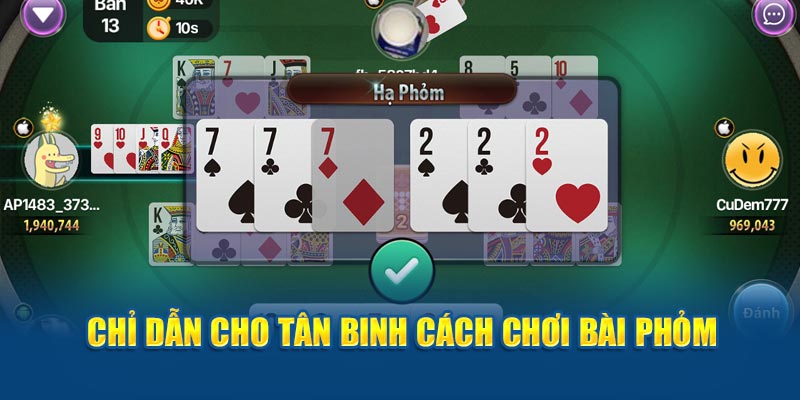 Chỉ dẫn cho tân binh cách chơi bài phỏm 