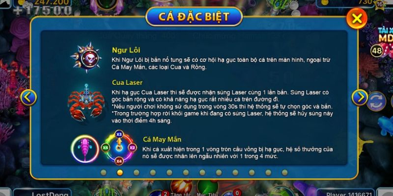 Một số loài sinh vật đặc biệt có tại săn ngư xèng