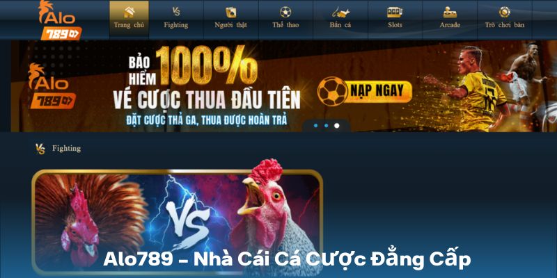 Alo789 - Nhà cái cá cược đẳng cấp xứng tầm