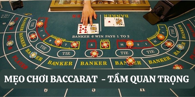 Tầm quan trọng áp dụng mẹo chơi Baccarat là gì?